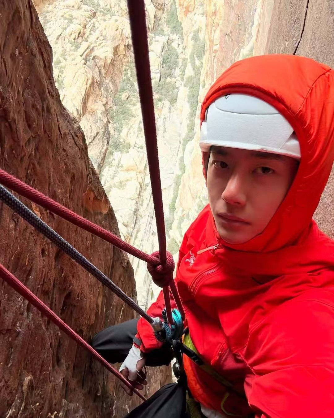wangyibo2.jpg